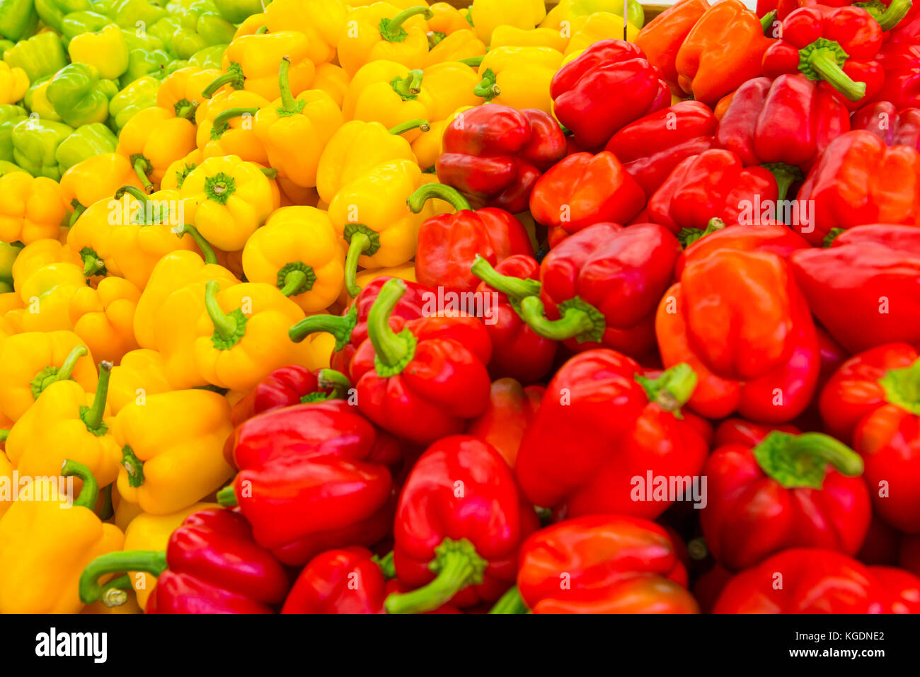 Israel The Holy Land Tel Aviv Carmel Market stall shop store green