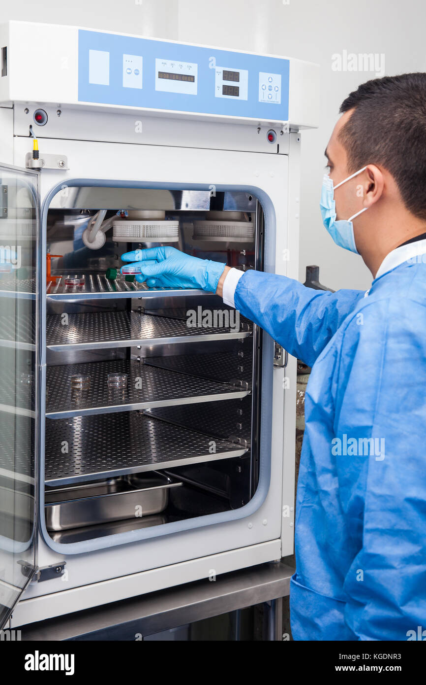 Young laboratory researcher introducing a petri dish into an incubator