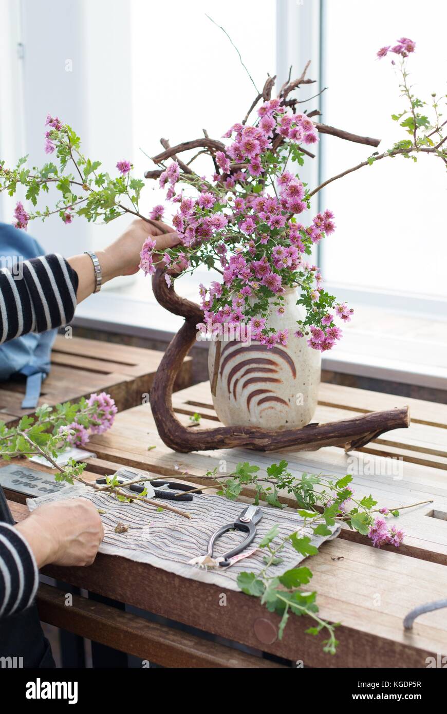 Close up of the hands of an Ikebana artist creating a flower arrangement at Como Conservatory in St. Paul, Minnesota, USA. Stock Photo