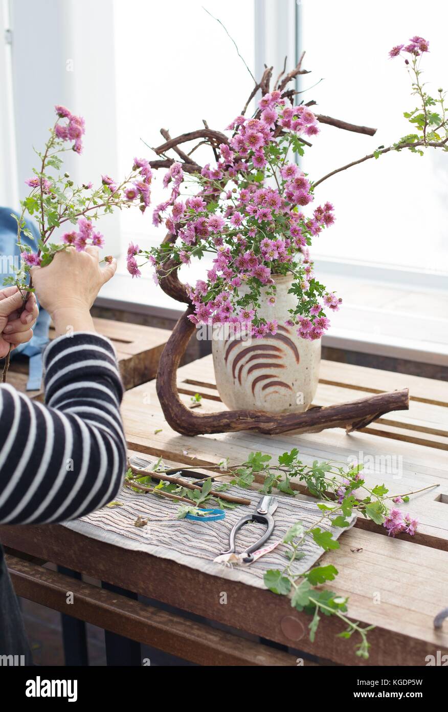 Close up of the hands of an Ikebana artist creating a flower arrangement at Como Conservatory in St. Paul, Minnesota, USA. Stock Photo