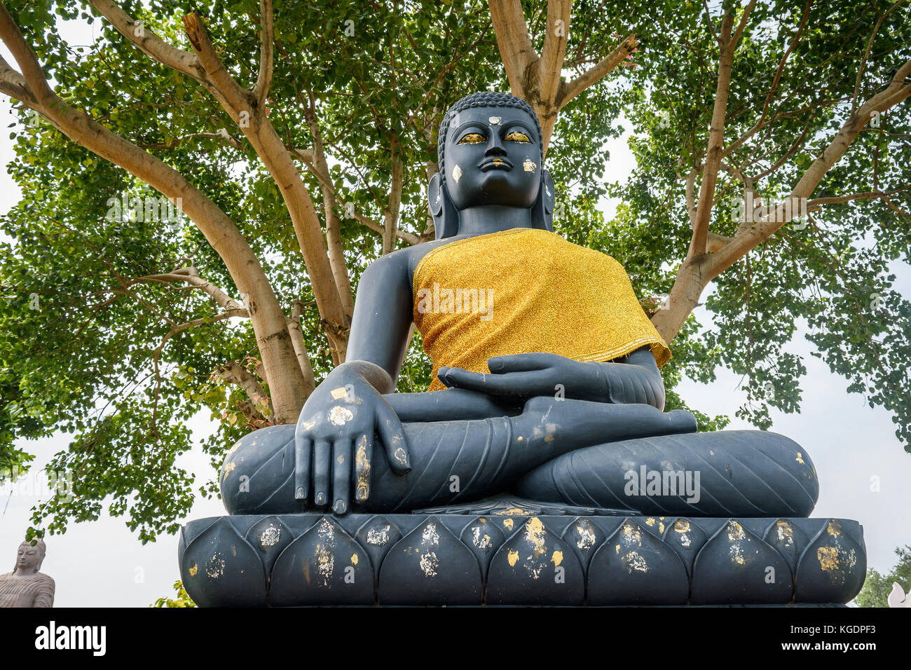 Gautam Buddha statue  at a Buddhist monastery at Sarnath, Varanasi, India. Stock Photo