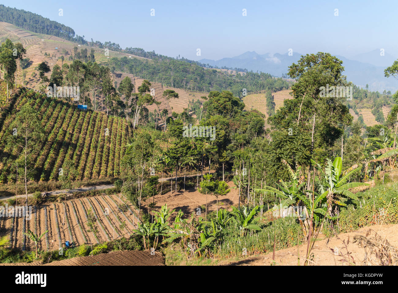Volcanic landscape on the slope of the Galunggung volcano in Garut neat Bandung, Java islan in Indonesia Stock Photo