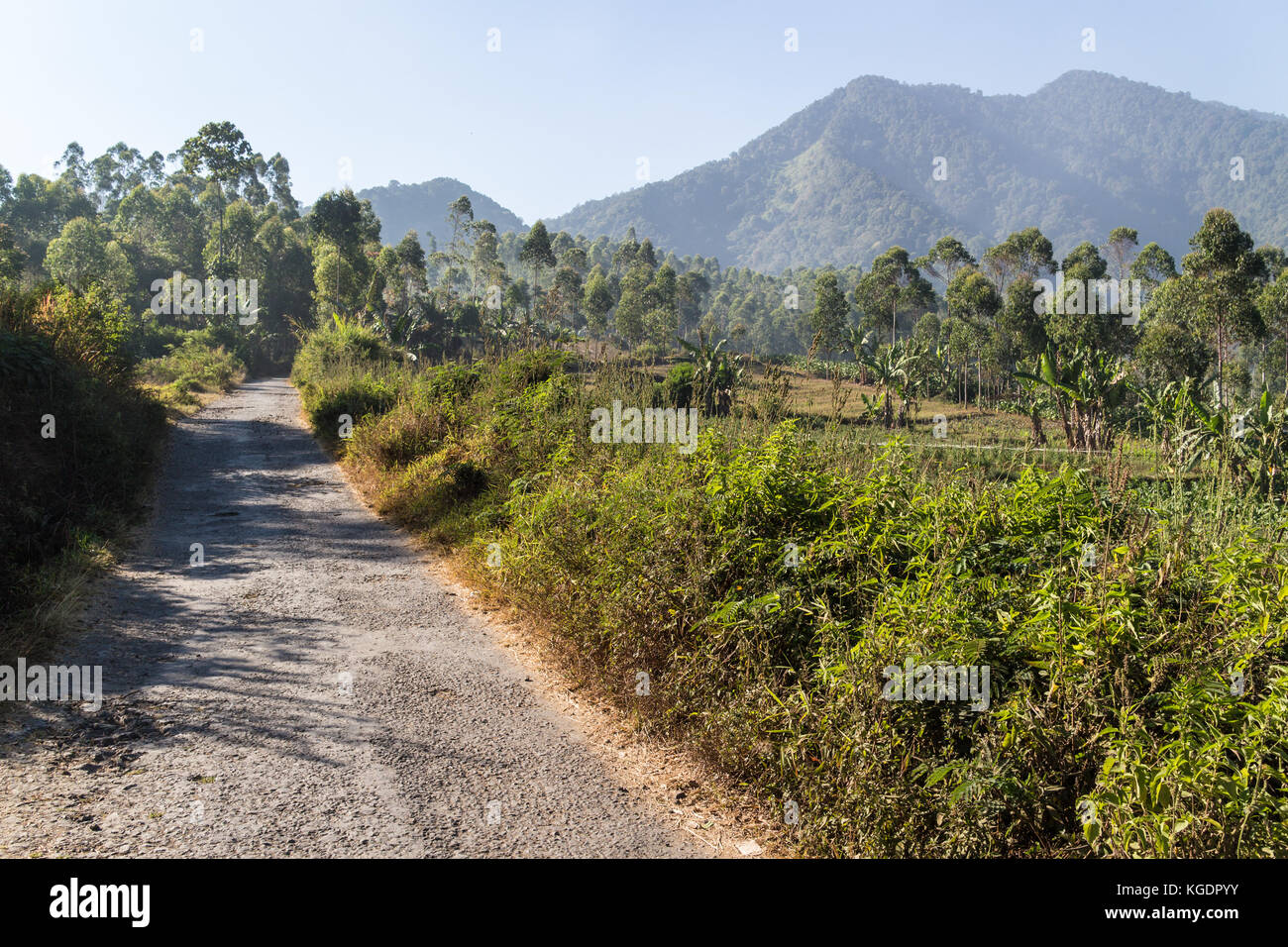 Volcanic landscape on the slope of the Galunggung volcano in Garut neat Bandung, Java islan in Indonesia Stock Photo