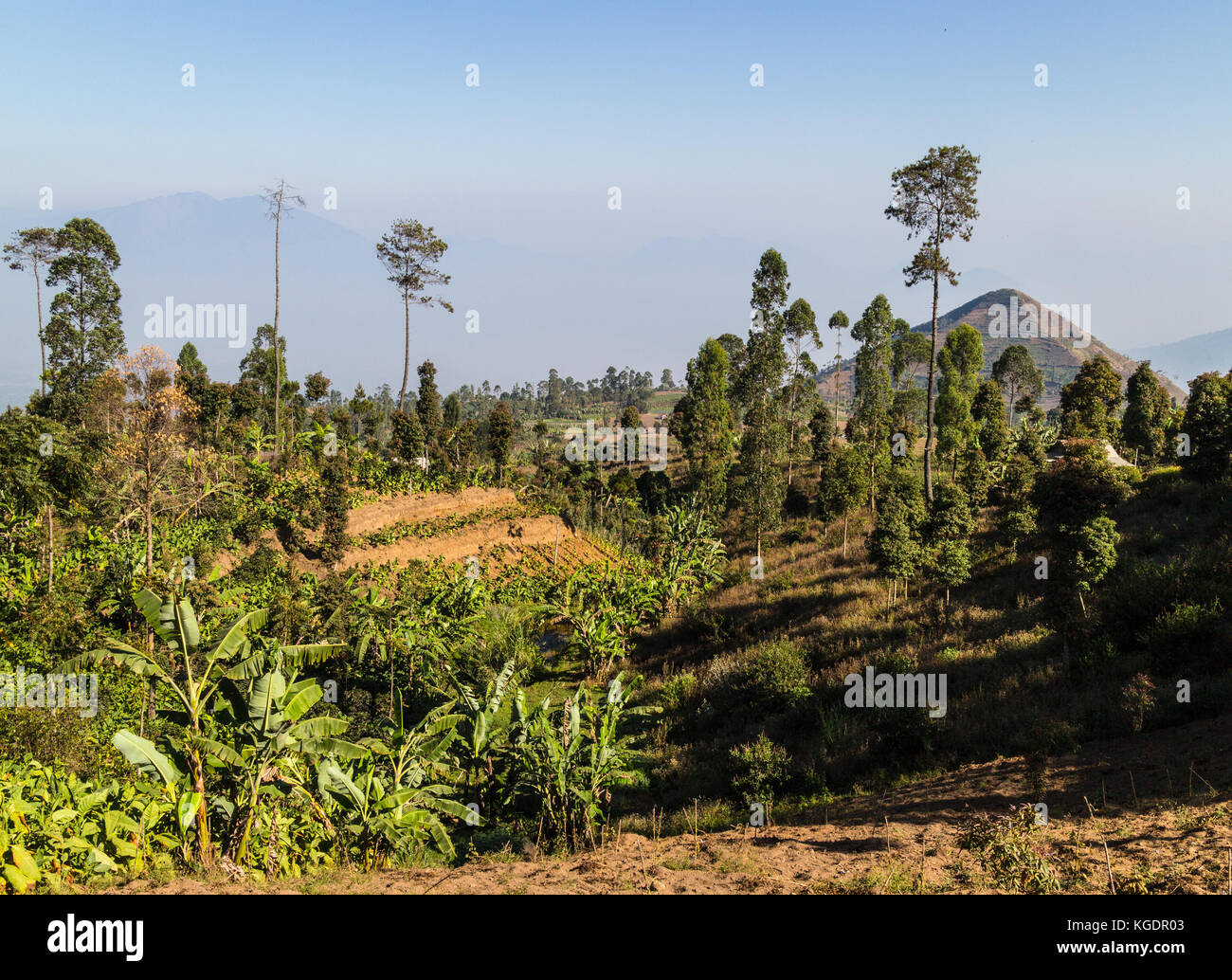 Volcanic landscape on the slope of the Galunggung volcano in Garut neat Bandung, Java islan in Indonesia Stock Photo