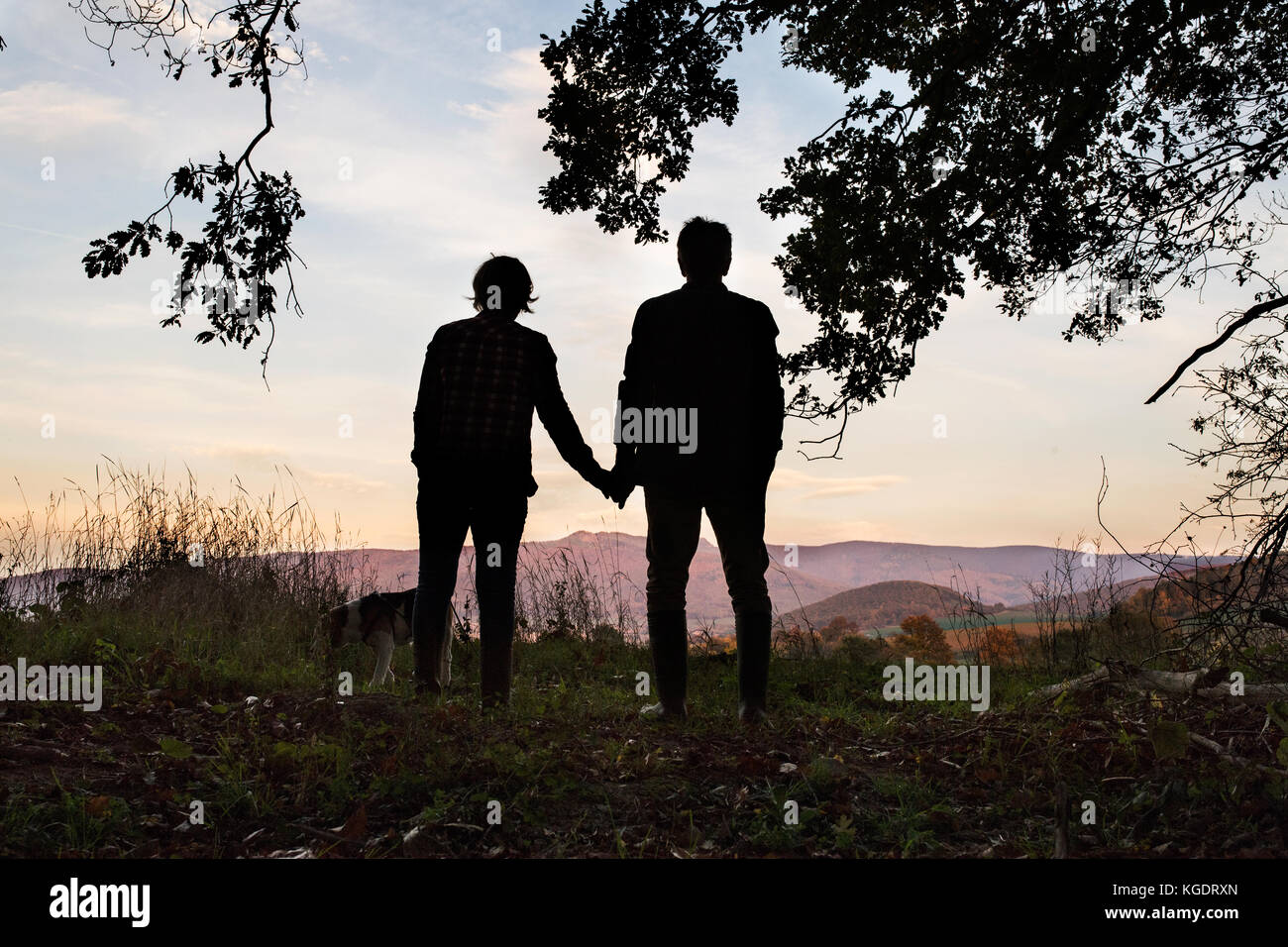 Couple with dog on a walk in forest in the evening Stock Photo - Alamy