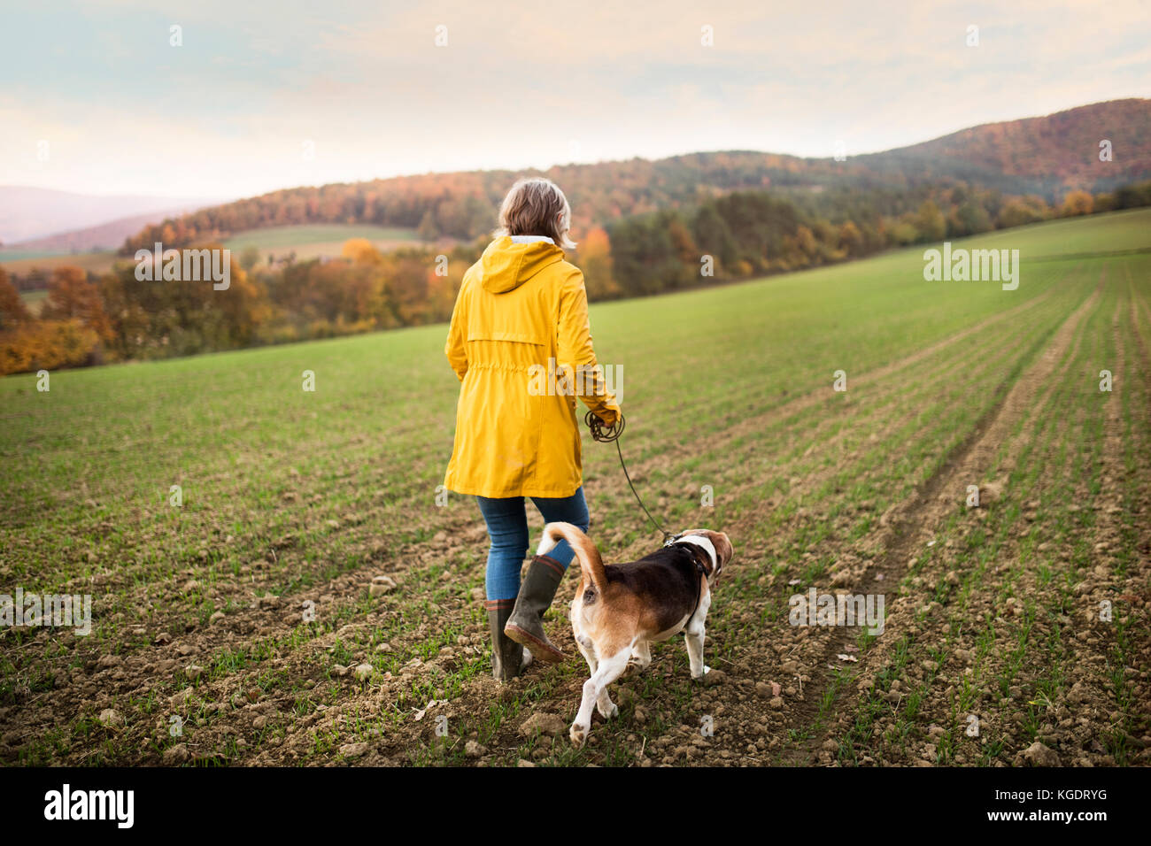 Senior woman with dog on a walk in an autumn nature Stock Photo - Alamy