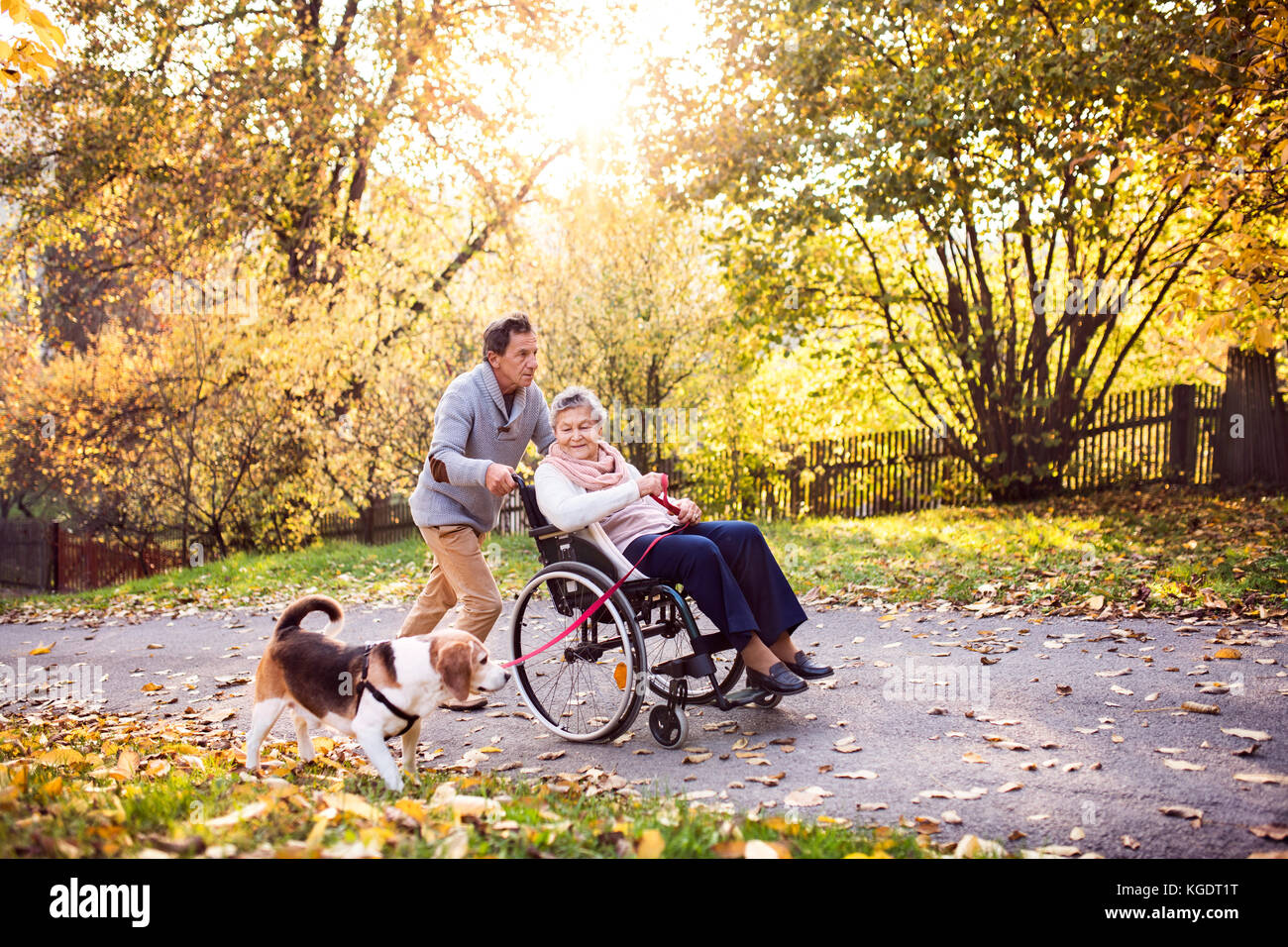 Senior man, woman in wheelchair and dog in autumn nature. Stock Photo