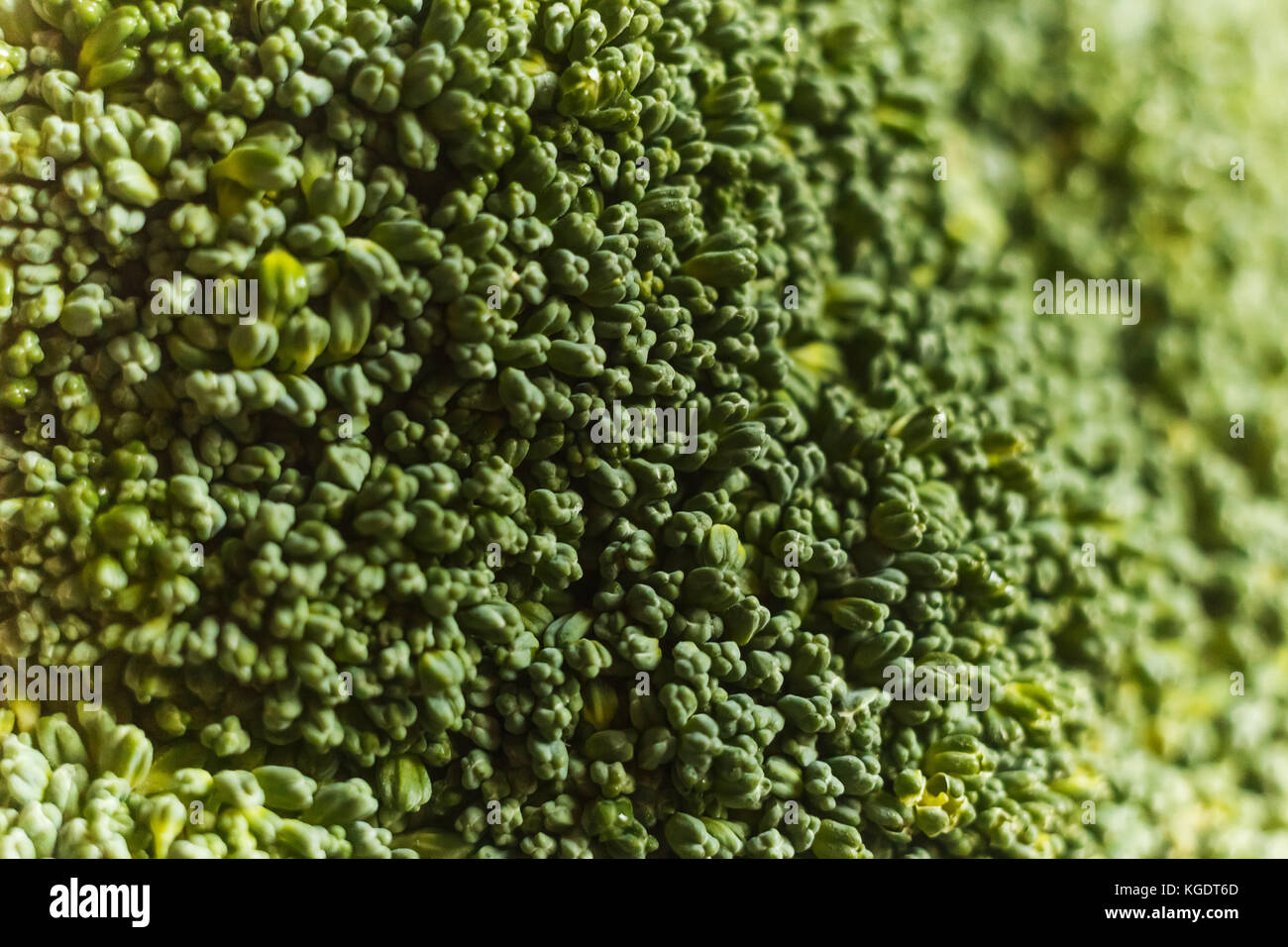 close-up photo of green broccoli flowers Stock Photo
