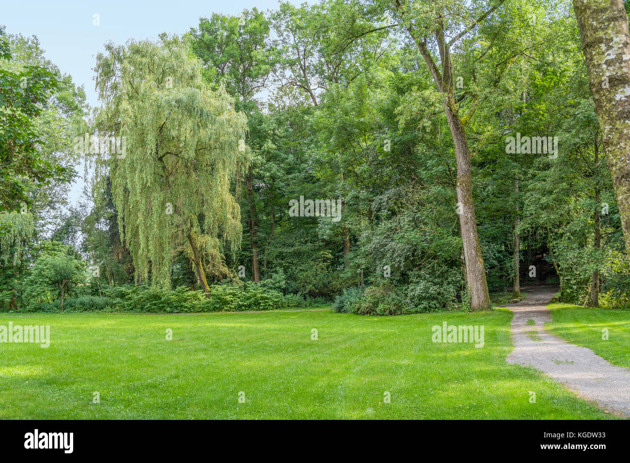 idyllic park scenery with trees and grass at summer time Stock Photo