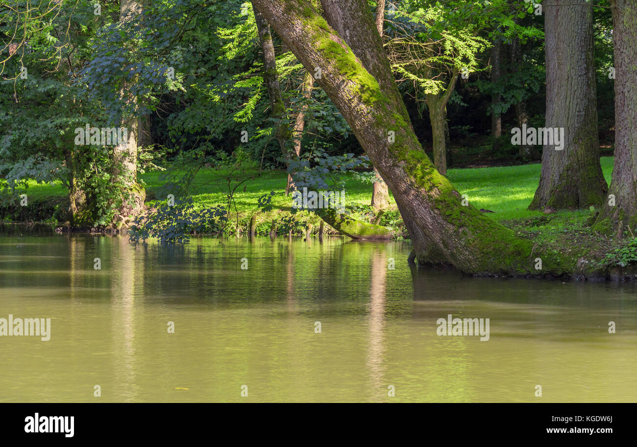 Sunny idyllic park scenery hi-res stock photography and images - Alamy