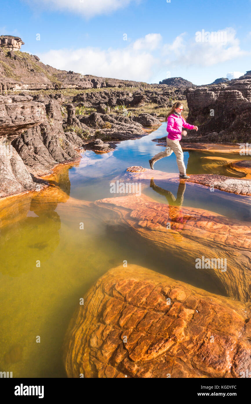 Trekking Mount Roraima Venezuela South America Stock Photo - Alamy