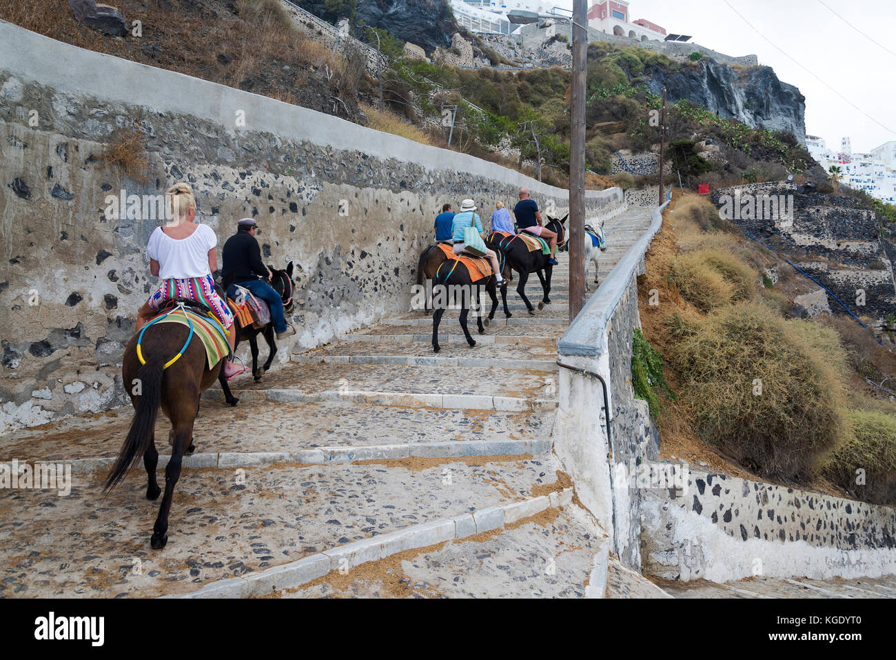 The old road to the port in Santorini with the mules. Stock Photo