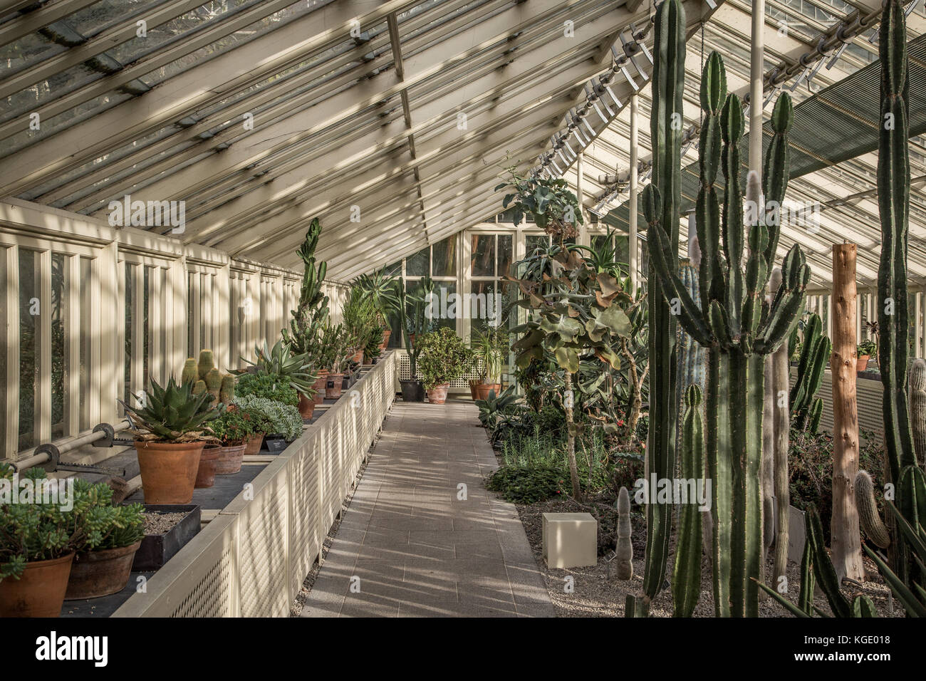 A greenhouse in the National Botanic Gardens, Dublin, Ireland. Stock Photo