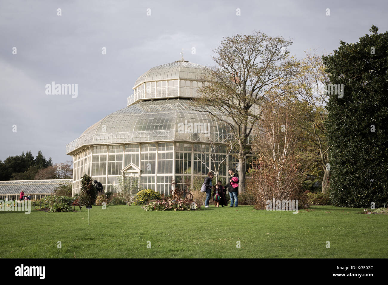 The National Botanic Gardens, Dublin, Ireland. Stock Photo
