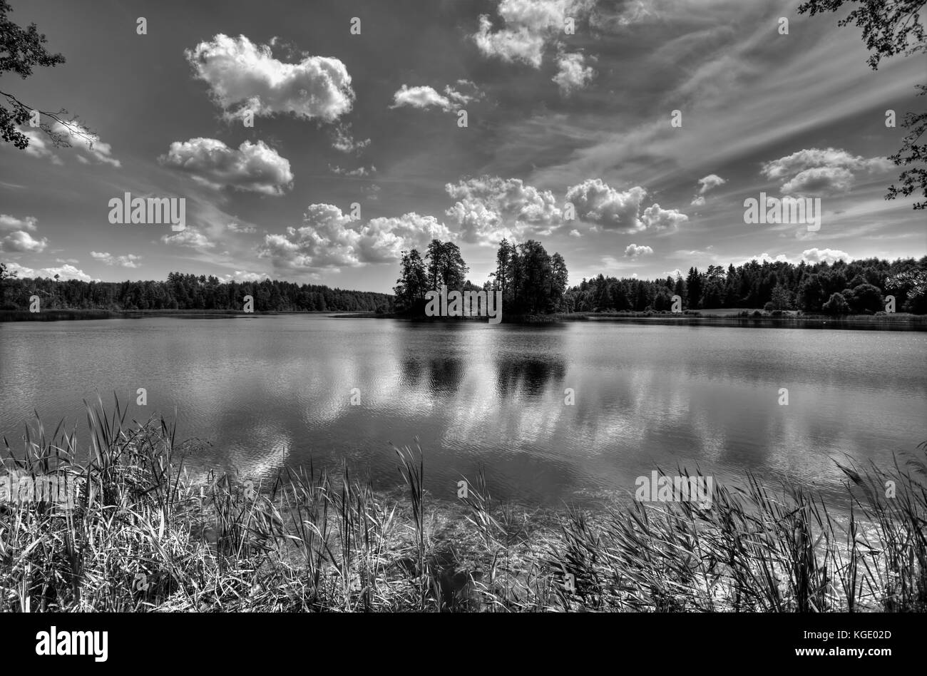 Komosa lake in Knyszynska forest, HDR black and white image Stock Photo