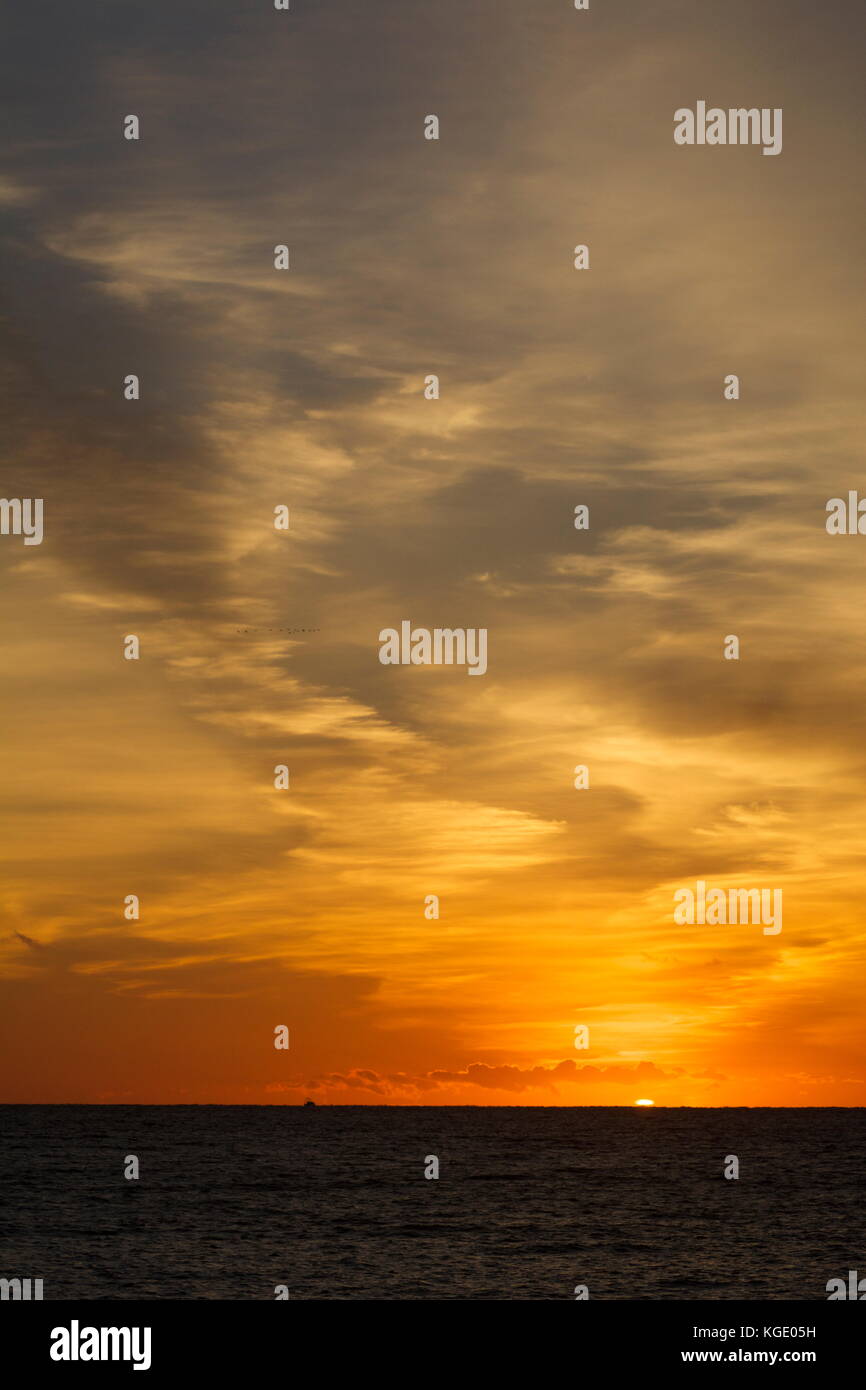 Winter sunrise over the Atlantic Ocean in New England Stock Photo - Alamy