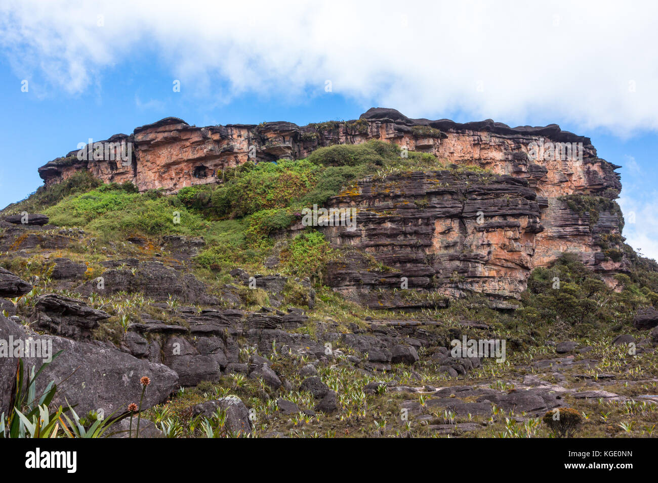 Mount roraima brasil hi-res stock photography and images - Alamy