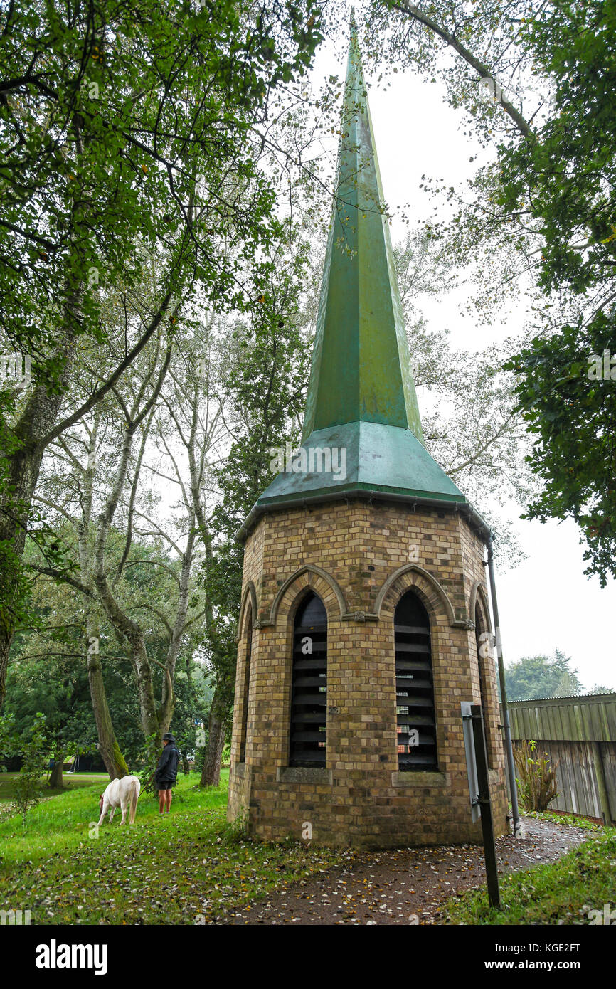 2022 NORTHERN CALIFORNIA YEARLING \u0026 HORSES OF RACING AGE SALE 2022 NORTHERN  CALIFORNIA YEARLING \u0026 HORSES OF RACING AGE S, image size:866x1390