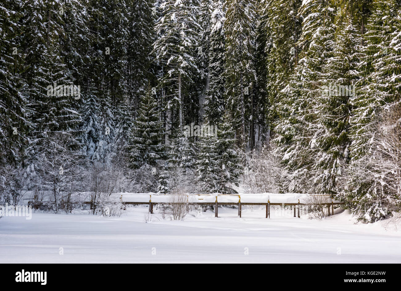 wooden bridge in snowy spruce forest. lovely winter scenery Stock Photo ...