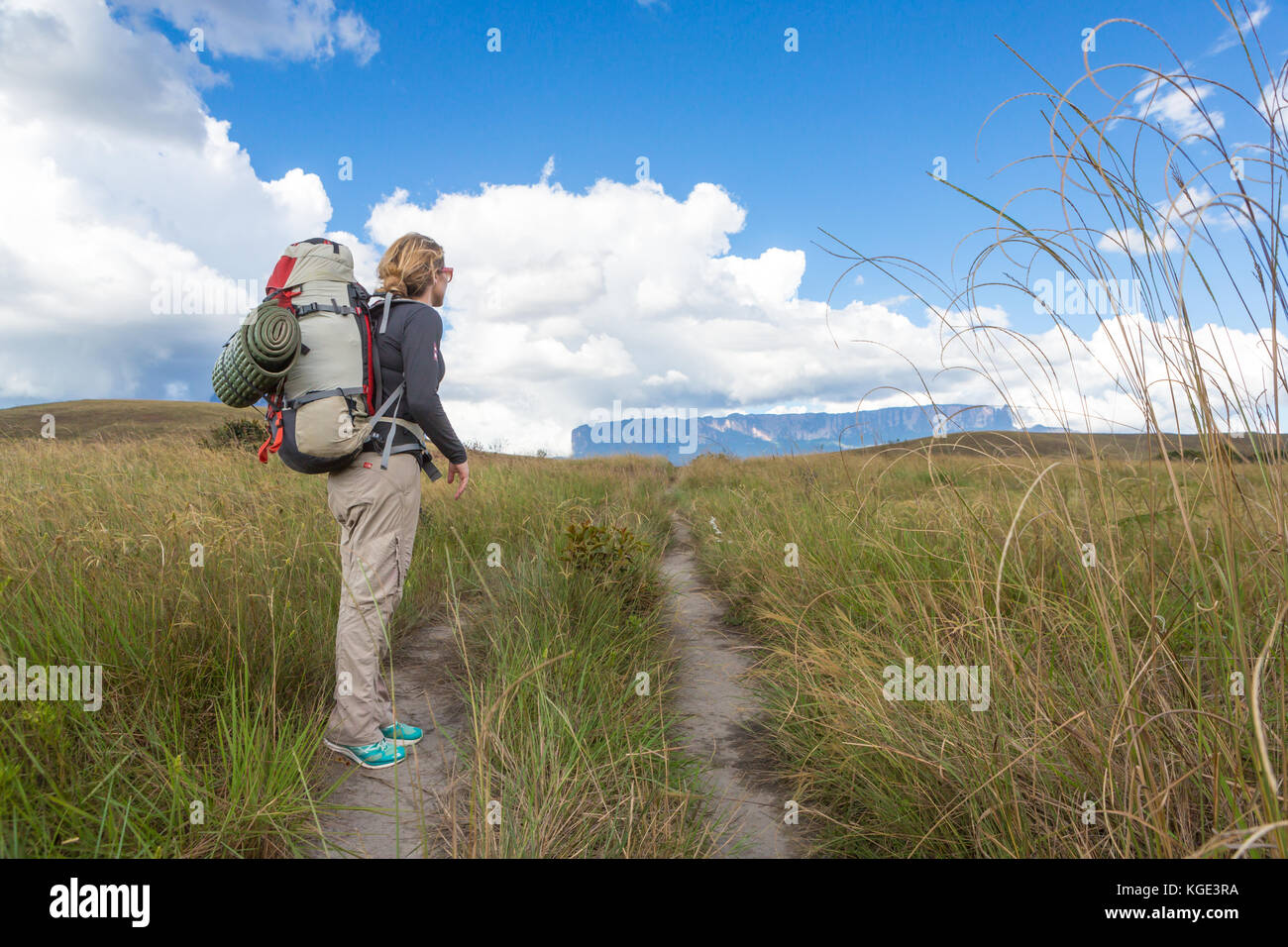 Trekking Mount Roraima Venezuela South America Stock Photo - Alamy