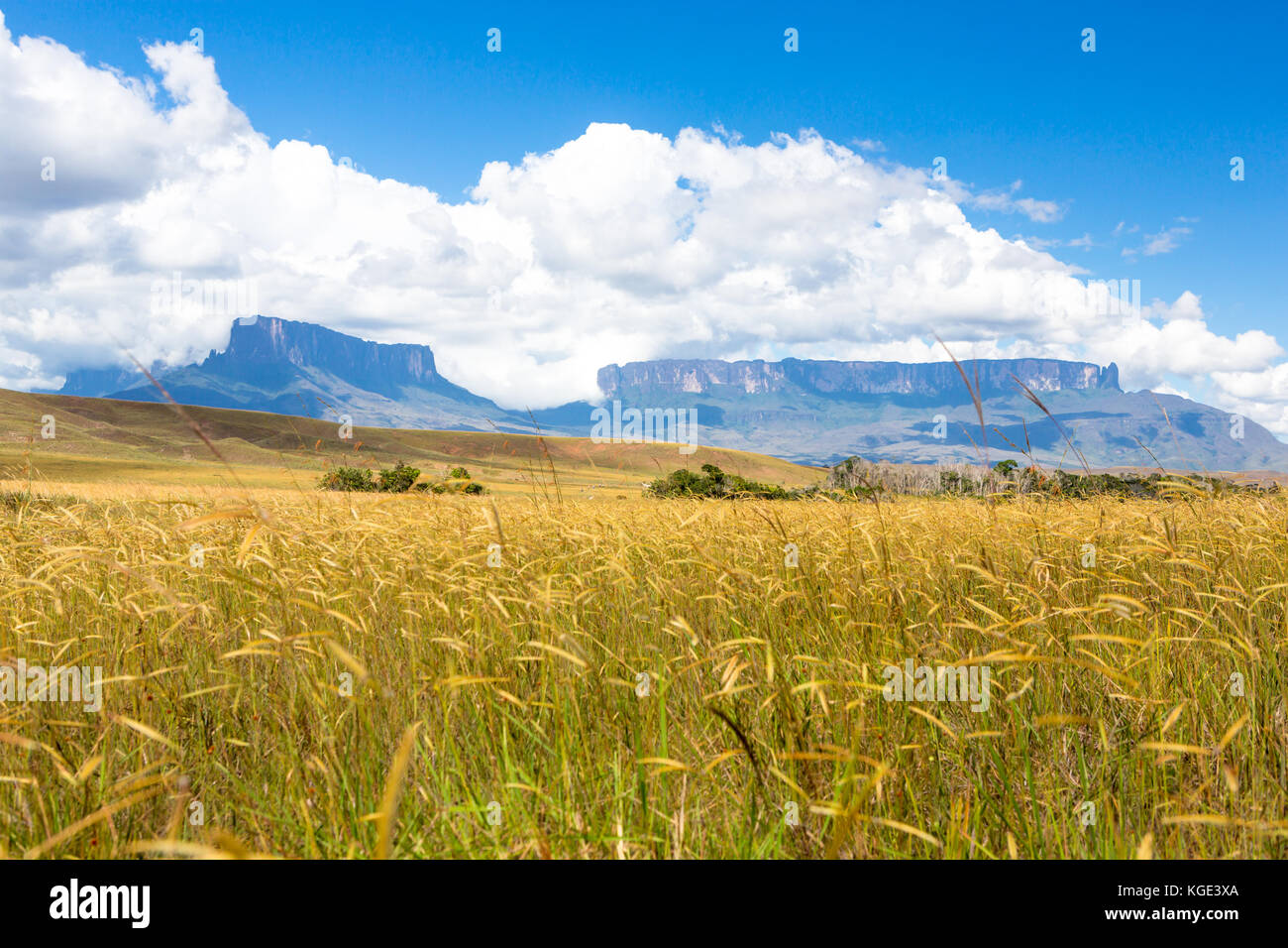 Trekking Mount Roraima Venezuela South America Stock Photo - Alamy