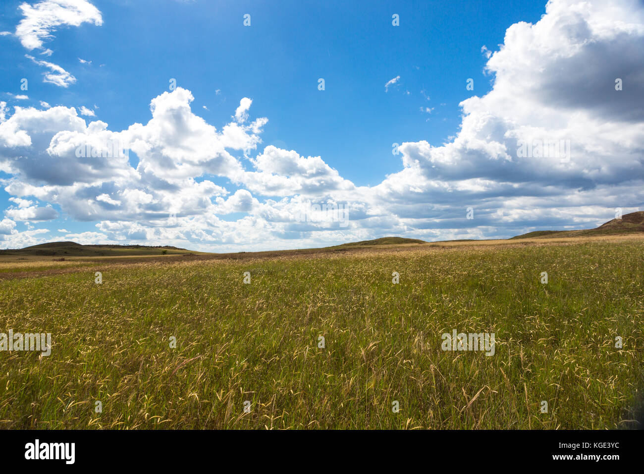Trekking Mount Roraima Venezuela South America Stock Photo - Alamy