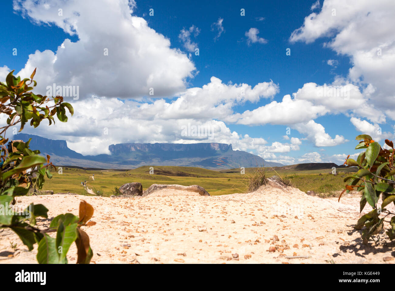 Mount roraima brasil hi-res stock photography and images - Alamy