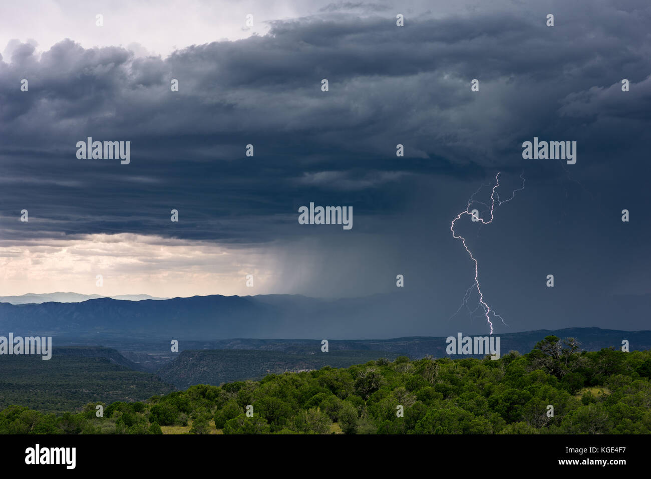 Rain falling from a thunderstorm with lightning strike and dark storm clouds Stock Photo