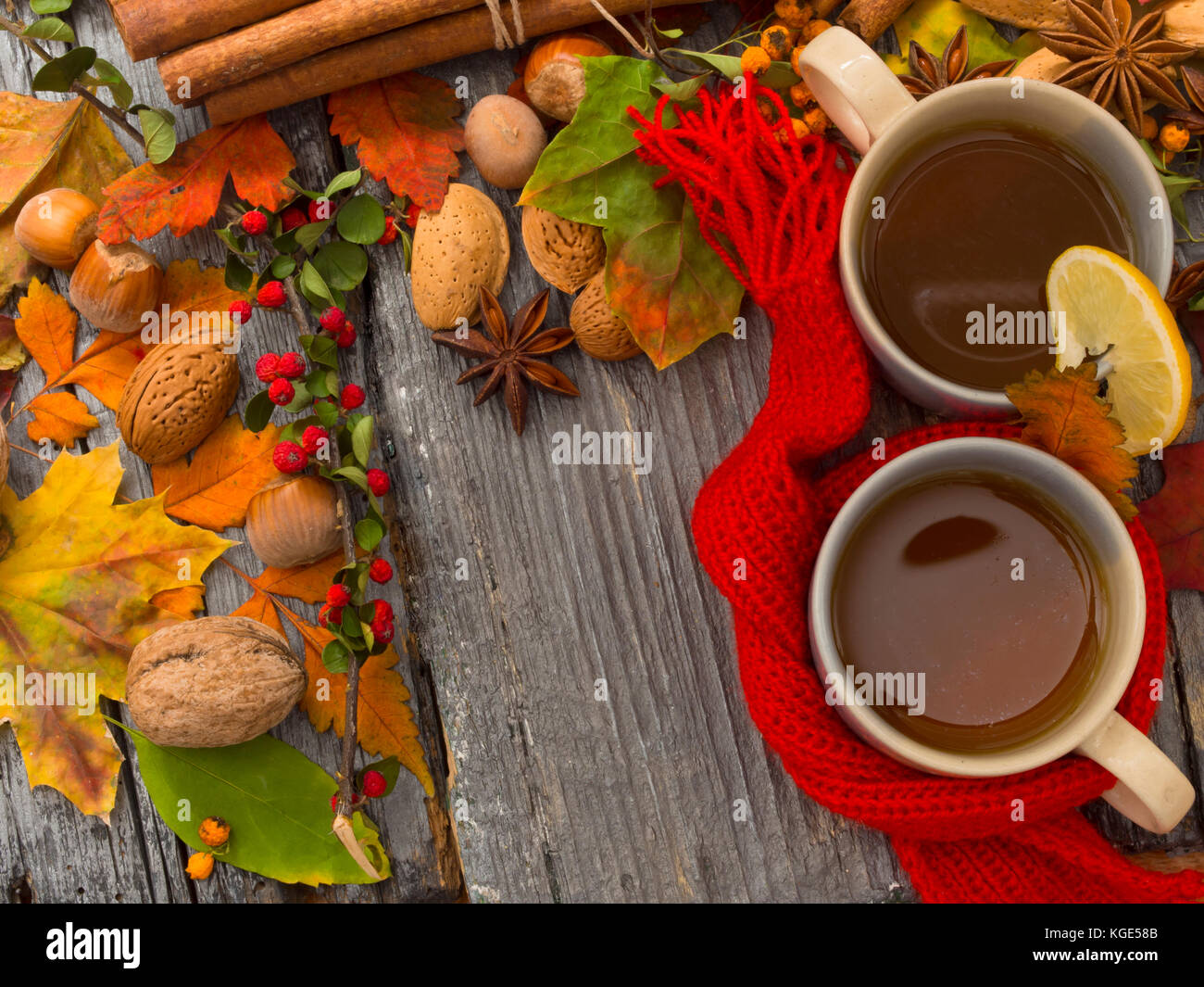 Two Autumn Tea Posts tea for two, fall arrangement Stock Photo - Alamy