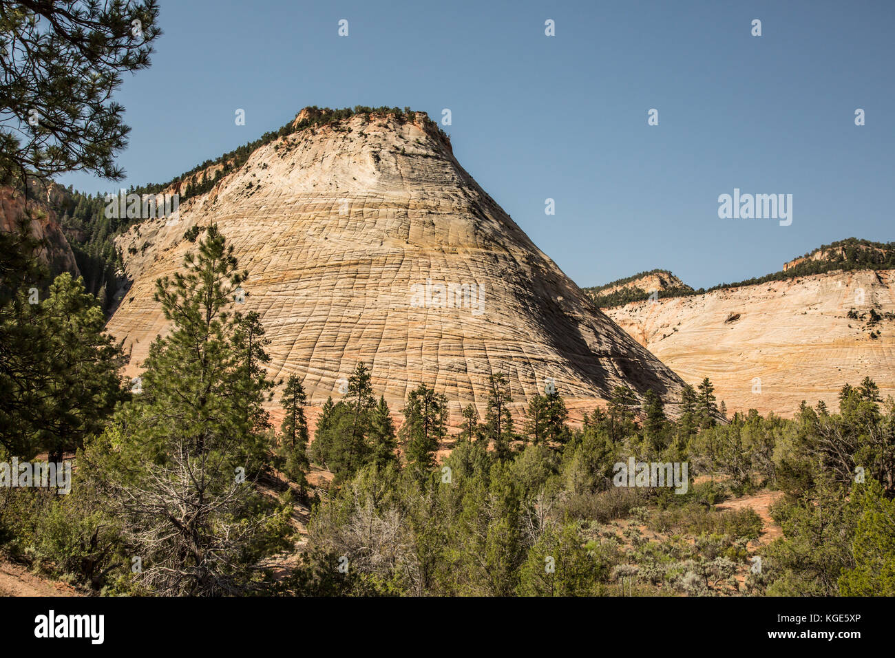 Zion National Park. Utah National Parks. Canyons, trails,natural