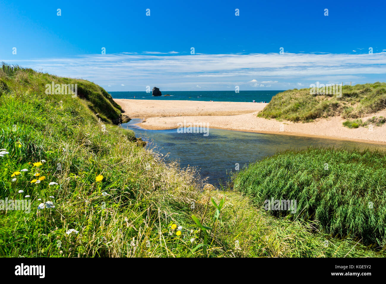 South Milton Ley Nature  Reserve and a view out to South Milton Sands Devon England UK Stock Photo