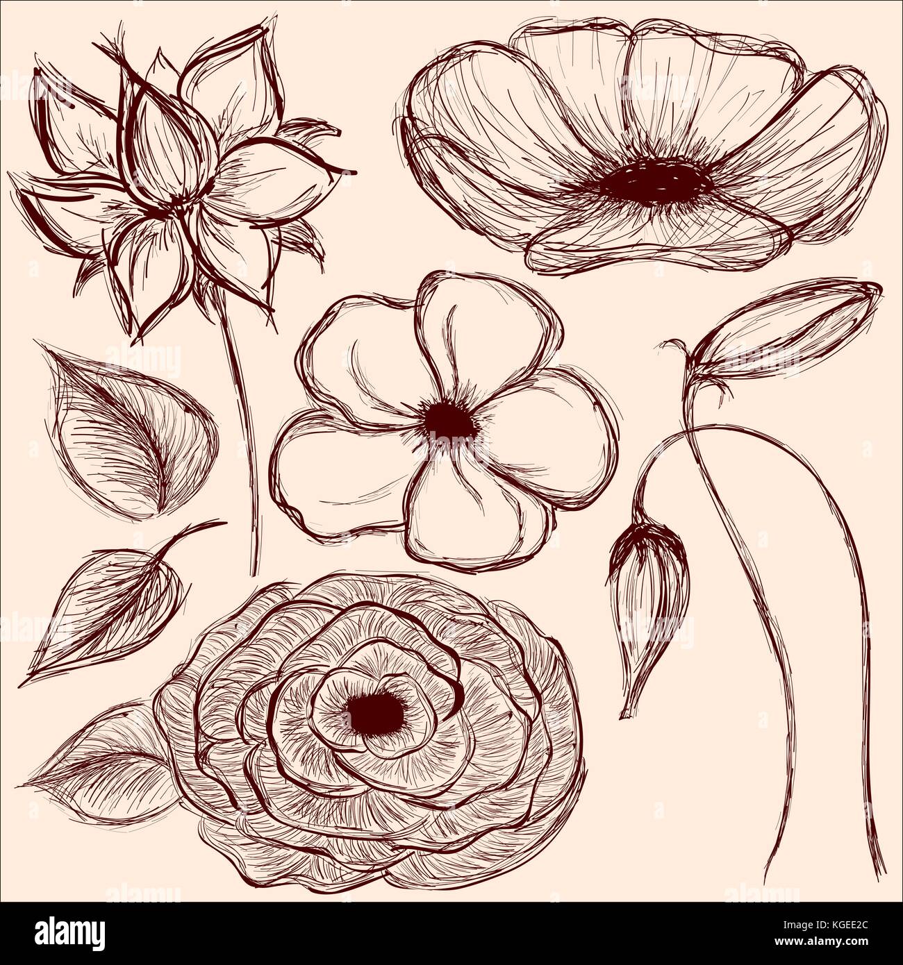 Hand drawn vintage flowers set on brown background Stock Vector Image ...