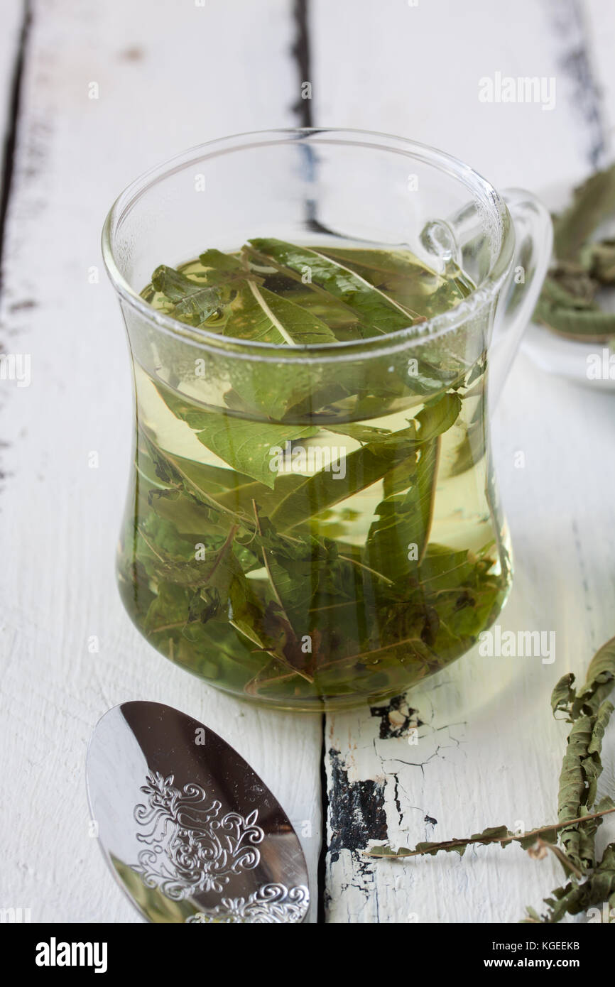lemon balm melissa tea Stock Photo Alamy