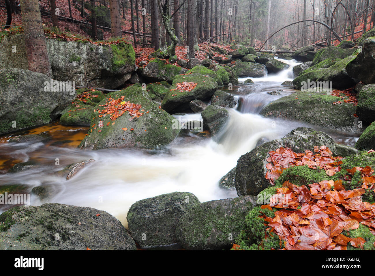 Brook in the autumn forest - flowing water Stock Photo