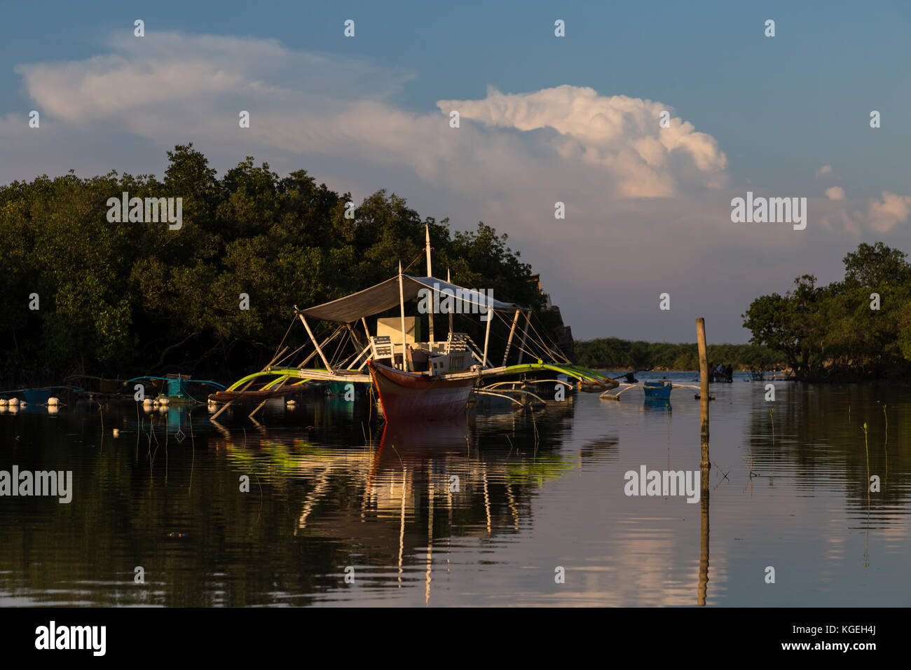 Asia Philippines Cebu Mactan Mactan Shrine Pump boats in the mangroves ...