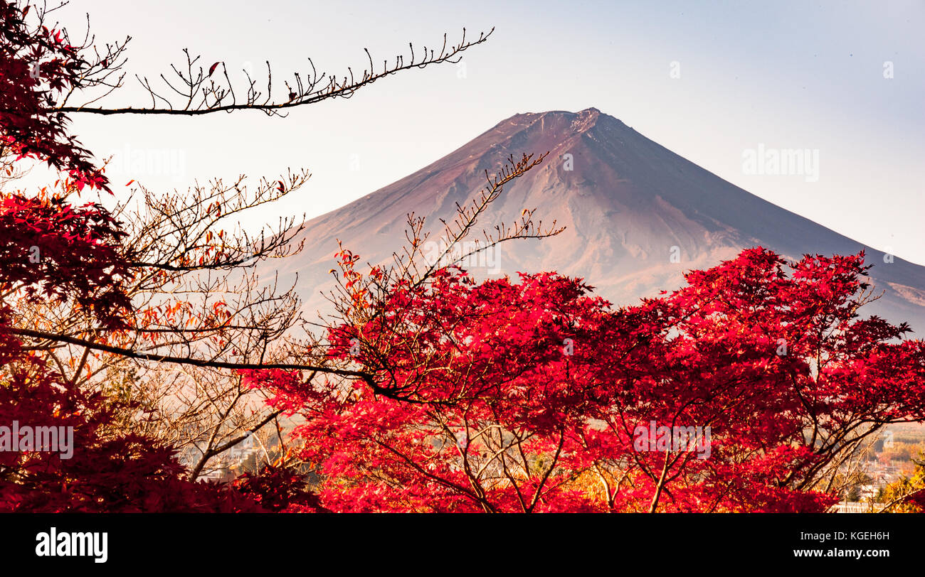 Mount Fuji view in autumn from Arakurayama Sengen Park, Japan Stock Photo