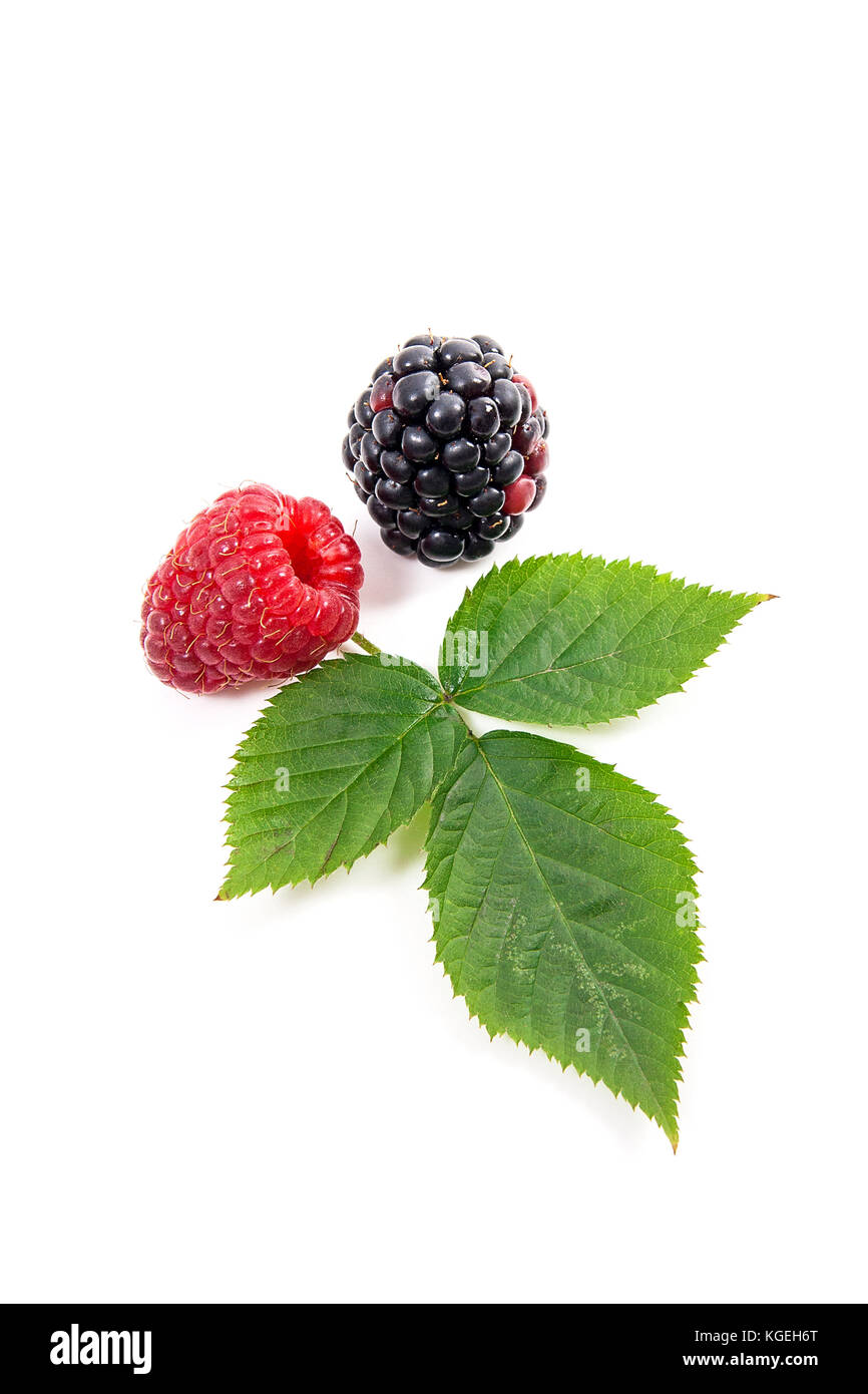 Close up view of fresh raspberries fruits with green leaf of raspberry ...