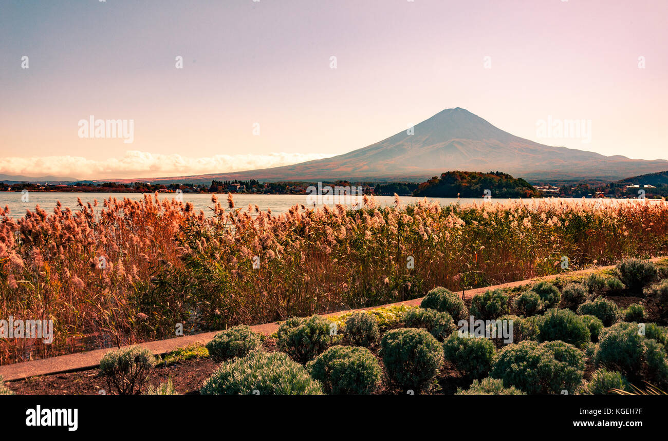 Mount Fuji from Lake Kawaguchiko Natural Living Center in Autumn Stock Photo