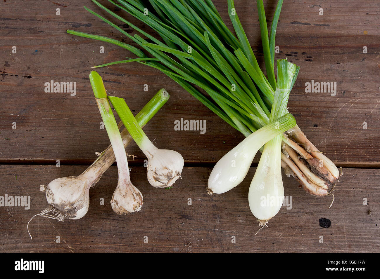 Spring onions and Garlic Bulb are rich in vitamins,minerals and natural