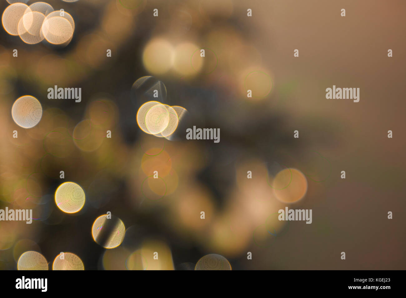 Christmas background of lights and tree Stock Photo - Alamy