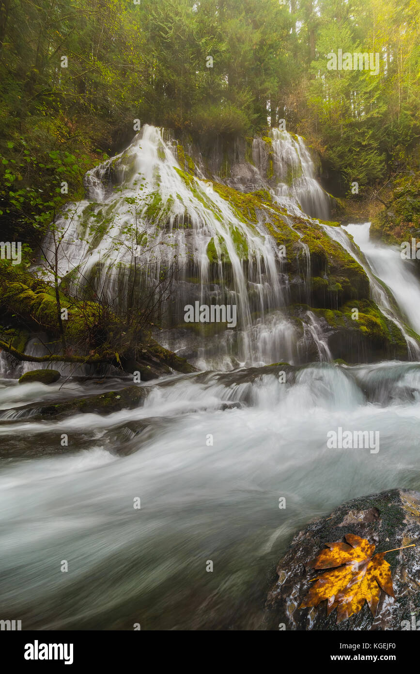Panther Creek Falls at Gifford Pinchot National Forest in Washington