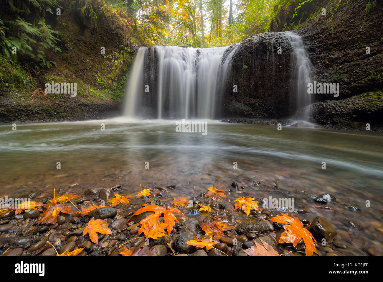 Hidden Falls in Clackamas County Oregon in Fall Season Stock Photo