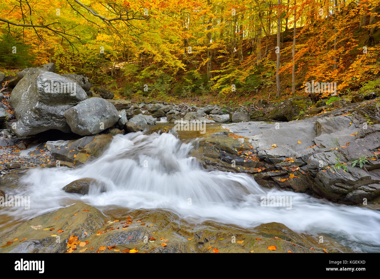Autumn waterfall and creek woods with yellow trees foliage and rocks in forest mountain Stock Photo