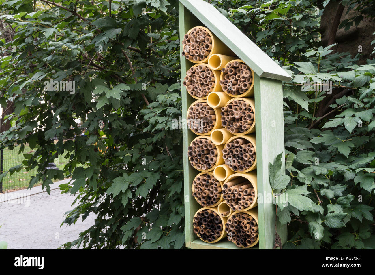 Bee Houses in Madison Square Park, NYC, USA Stock Photo