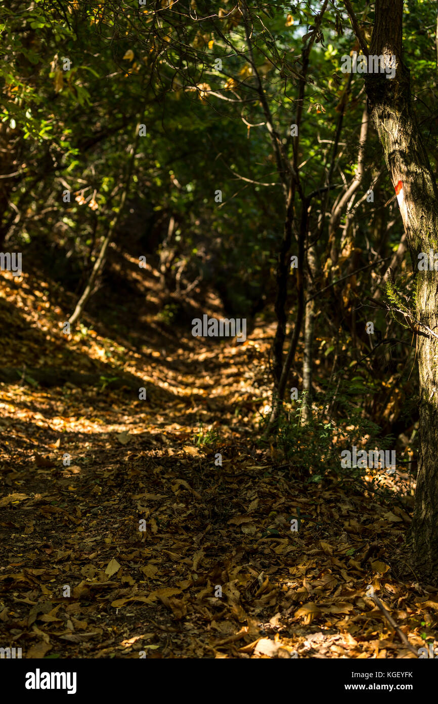 Montegral High Resolution Stock Photography And Images Alamy alamy