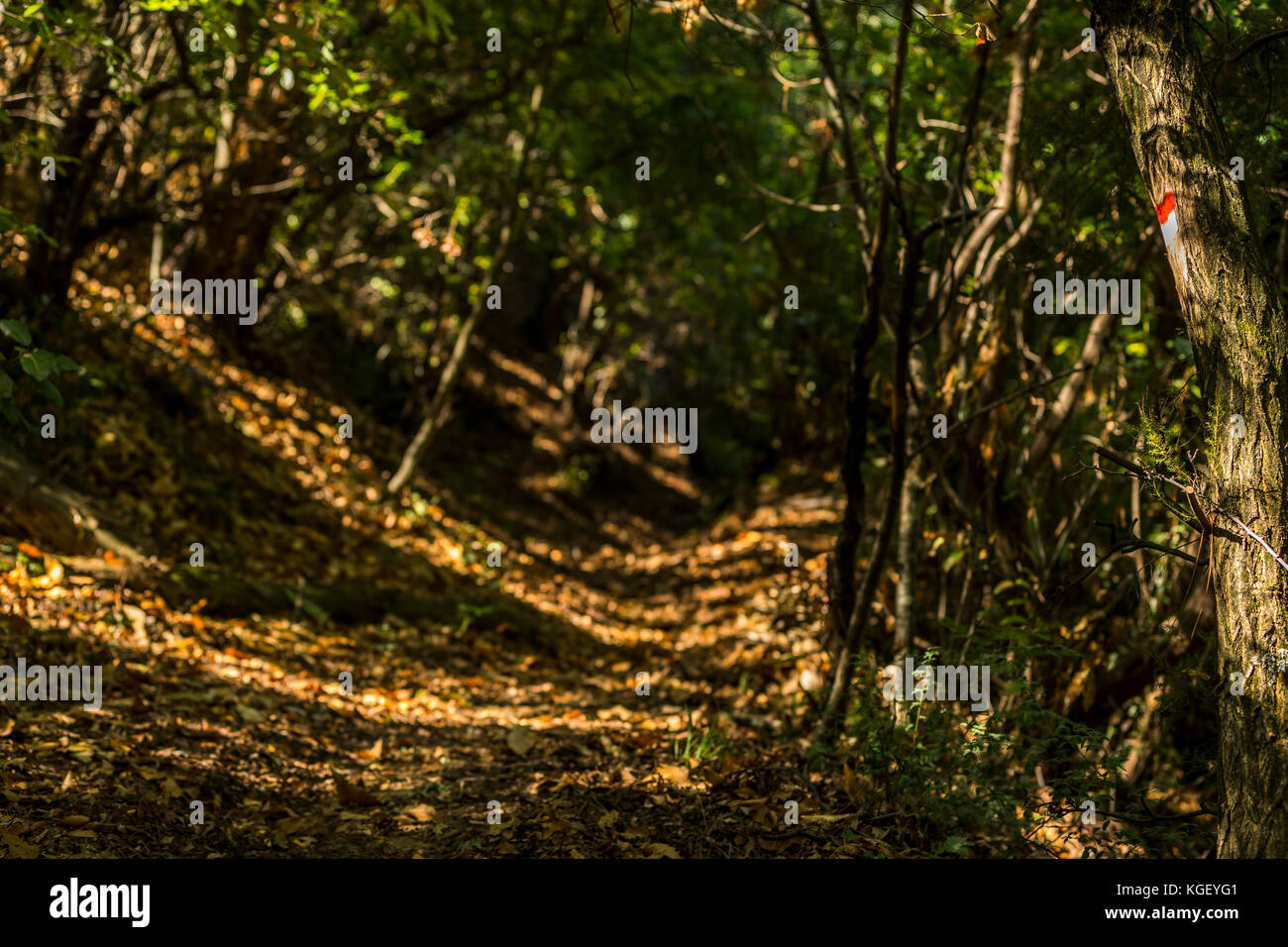 Montegral High Resolution Stock Photography And Images Alamy alamy