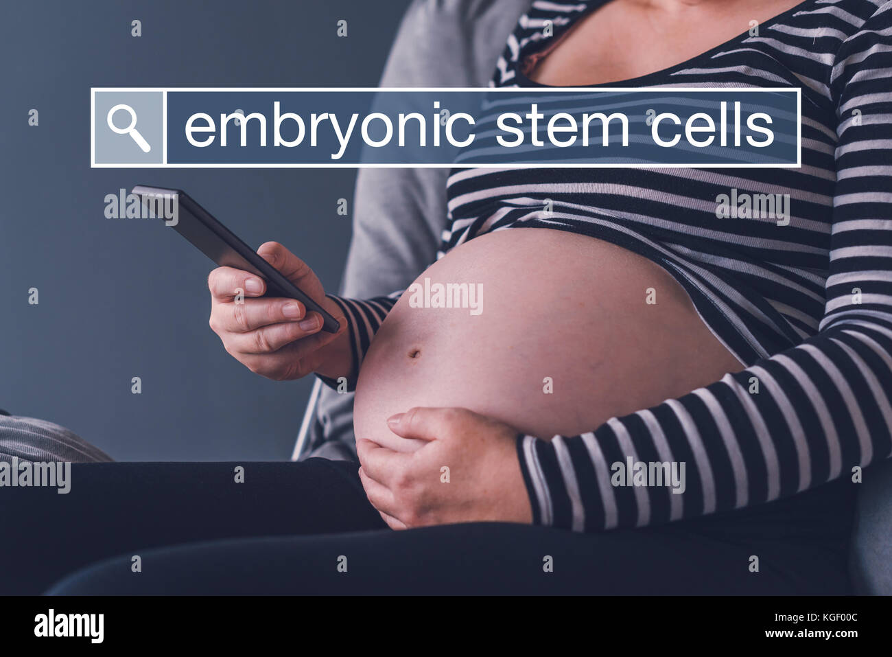 Pregnant woman searching web for embryonic stem cells on her smart phone device Stock Photo