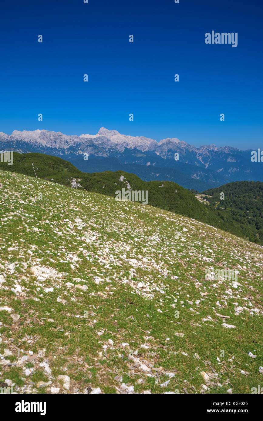 Mountainscape on sunny summer day with Triglav mountain peak in background Stock Photo