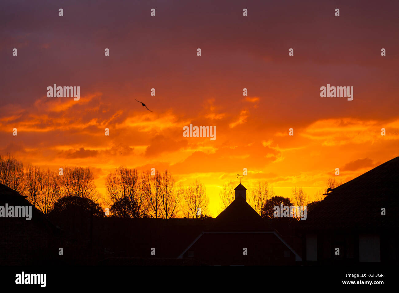 Ashford, Kent, UK. 7th Nov, 2017. UK Weather. Beautiful golden glow sunrise this morning. Photo Credit: Paul Lawrenson/Alamy Live News Stock Photo