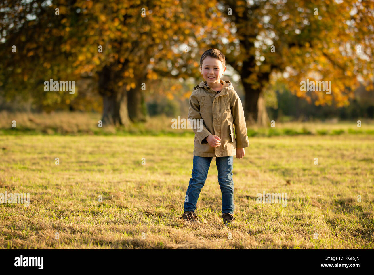 Boy walks in Castletown Park enjoying beautiful November weather with the deciduous trees shedding their leaves in a rich autumnal colours. Celbridge Stock Photo